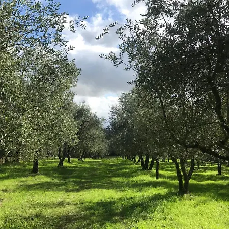 Podere I' Caldino Troghi