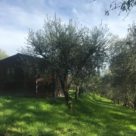 Farm stay Podere I' Caldino